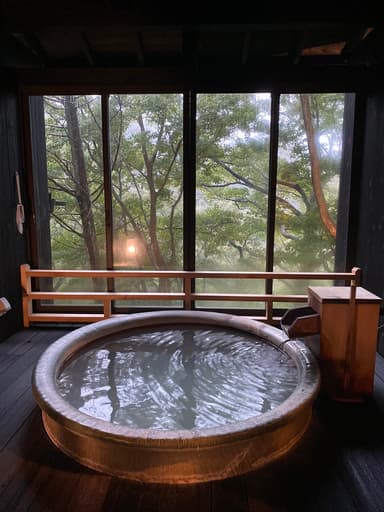 Nagominoyado Hanagokoro Review: A Private Onsen Ryokan in Hakone's Gora