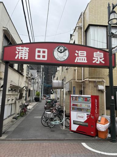 Can a Hot Spring Really Make Your Skin Softer? My Search for Japan's Beauty Water