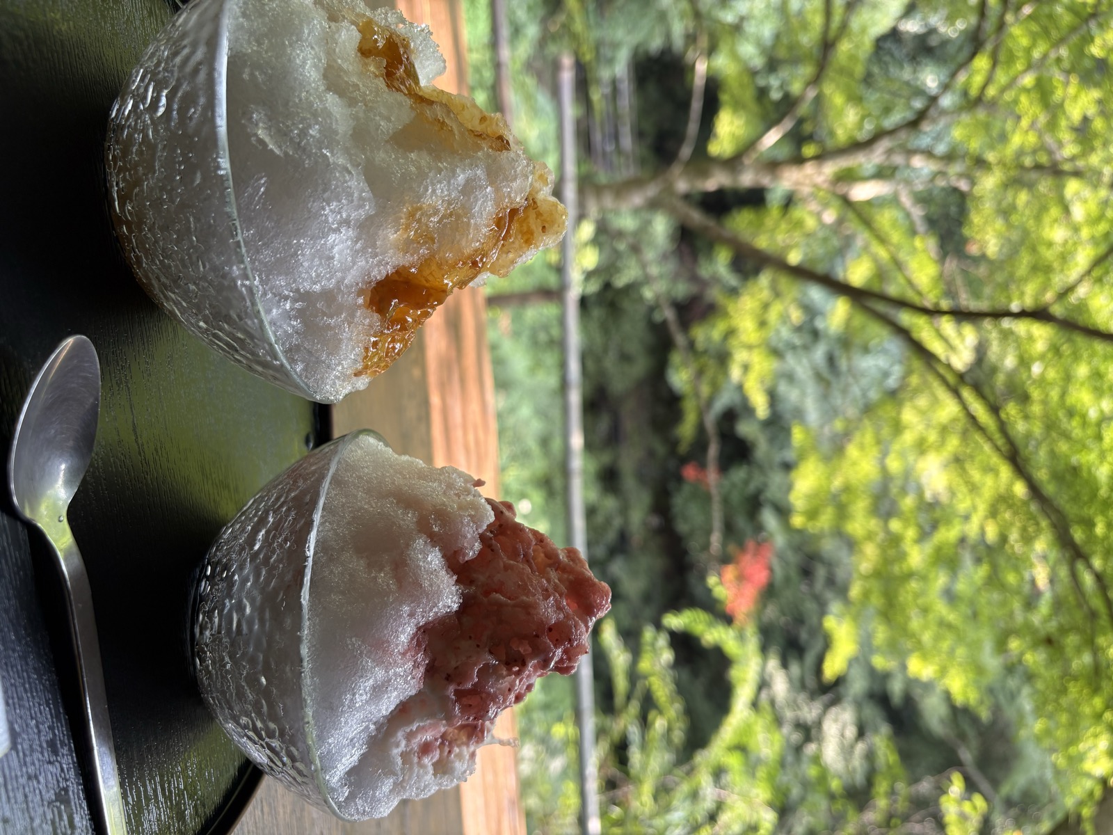 Two bowls of shaved ice (kakigori) at Tenzan Onsen's rest area